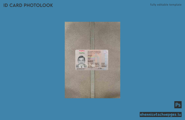 Beispielvorschau für das Passfoto des tadschikischen Personalausweises